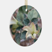 咲くカリフォルニア:聖ダトゥラセラミックオルナム セラミックオーナメント (右)