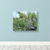 咲くカリフォルニア：青い花 キャンバスプリント (インサイチュ (ウッドフロア))