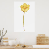 咲くキンポウゲ黄色の花 ポスター (キッチン)