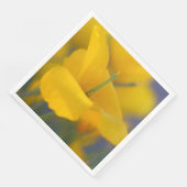 咲くケシ畑 (コーナー)