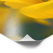 咲くケシ畑 フォトプリント            (角)