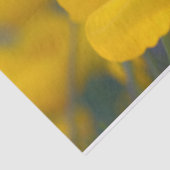 咲くケシ畑 薄葉紙 (詳細)