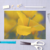 咲くケシ畑 薄葉紙 (クラフト)