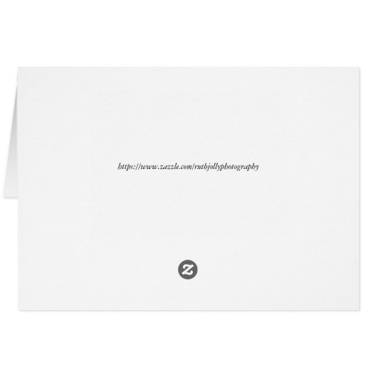 咲くサボテンの喜び (裏面横)