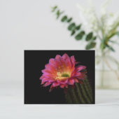 咲くサボテンの喜び ポストカード (スタンド正面)