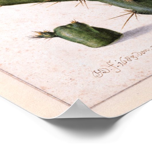 咲くサボ🌵 ポスター (角)