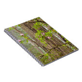 咲くシャクナゲ |レッドウッズ州パーク（カリフォルニア州） ノートブック (右側)