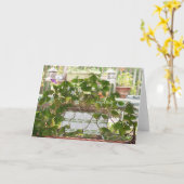 咲くシャムロック カード (黄色い花)