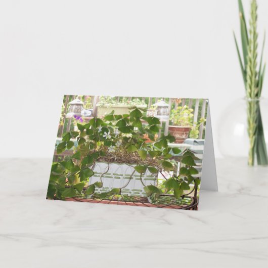 咲くシャムロック カード (正面)