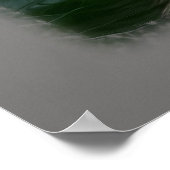 咲くハイビスカス ポスター (角)