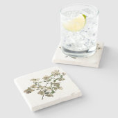 咲くハナミズキの花オンブランチ ストーンコースター (横)