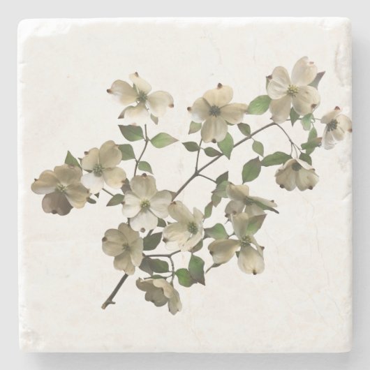 咲くハナミズキの花オンブランチ ストーンコースター (正面)