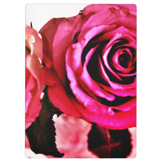 咲くバラ クリップボード (裏面)