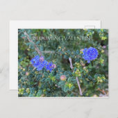 咲くバレンタイン ポストカード (正面/裏面)