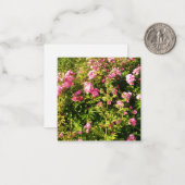 咲くピンクのバラ ノートカード (正面/裏面インサイチュ)