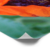 咲くポピーのポスター ポスター (角)