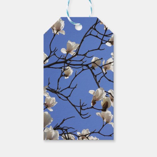 咲くマグノリア ギフトタグ (正面)