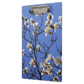 咲くマグノリア クリップボード (左)