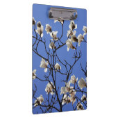 咲くマグノリア クリップボード (右)