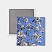 咲くマグノリア マグネット (正面/裏面)