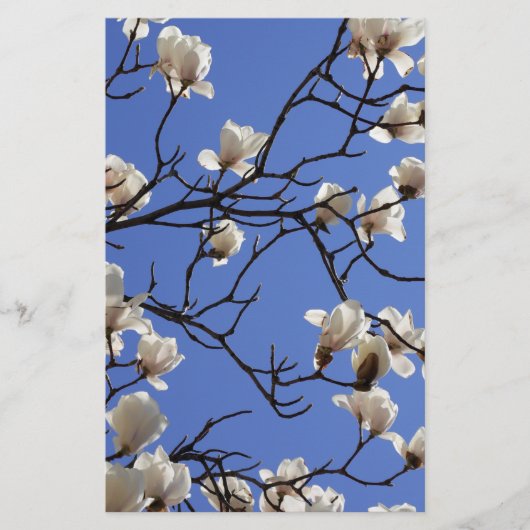 咲くマグノリア 便箋 (正面)