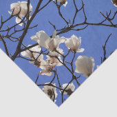 咲くマグノリア 薄葉紙 (詳細)