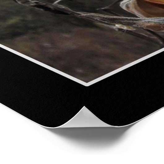 咲くミキサのポッド ポスター (角)