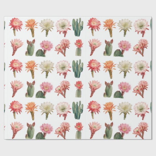 咲く多肉植物 ラッピングペーパー (フラット)