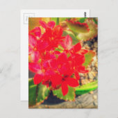 咲く小さな赤い花のグランジ ポストカード (正面/裏面)
