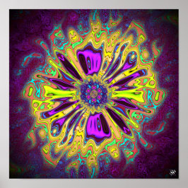 咲く星花v1パターンpareidolia ポスター