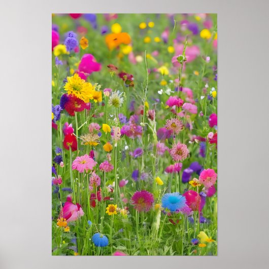 咲く春の牧草地の美しい景色 ポスター (正面)