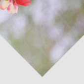 咲く春 薄葉紙 (詳細)