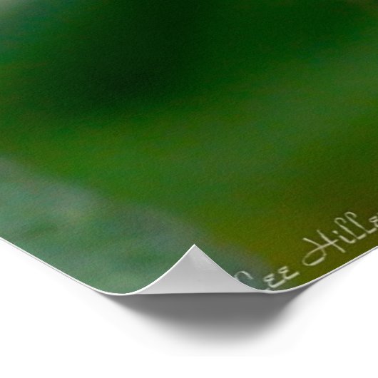 咲く枯れ花のポスター ポスター (角)