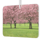 咲く桜 カーエアーフレッシュナー (左)