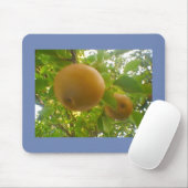咲く梨 マウスパッド (マウス)