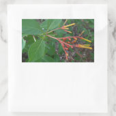 咲く熱帯花 長方形シール (バッグ)