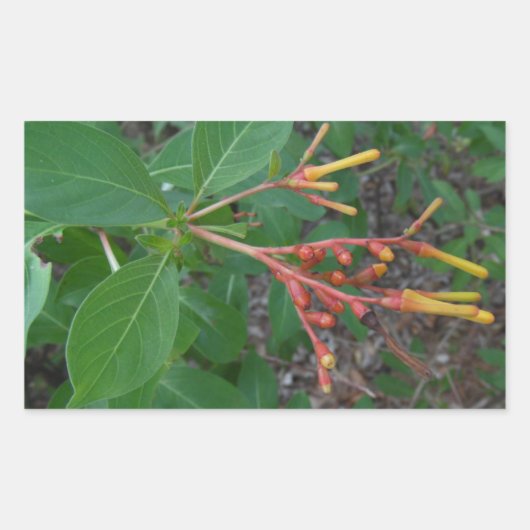 咲く熱帯花 長方形シール (正面)