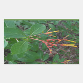 咲く熱帯花 長方形シール