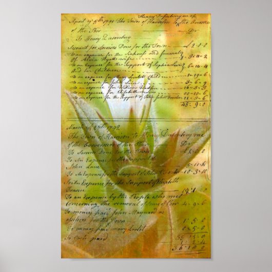 咲く白い花のヴィンテージ手書き ポスター (正面)