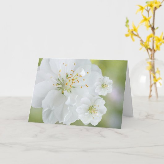 咲く白い花 カード (黄色い花)