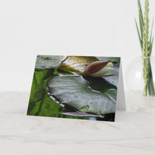 咲く約ユリ挨拶状 カード (正面)