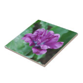 咲く紫色のオウムのチューリップ タイル (側面)