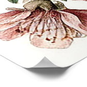 咲く花の間に止まるブルーバード ポスター (角)