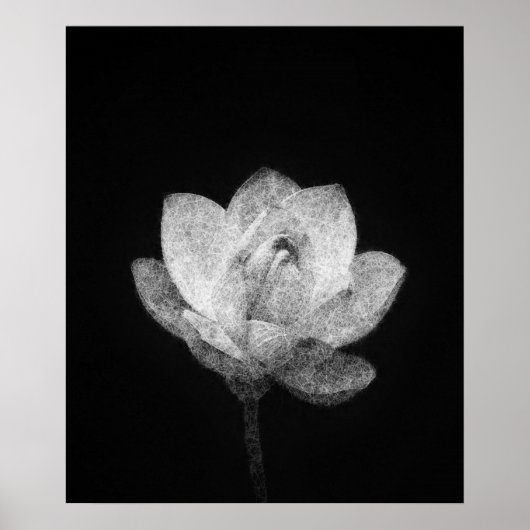 咲く蓮の花の芽のスケッチ ポスター (正面)