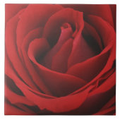 咲く赤いバラ タイル (正面)