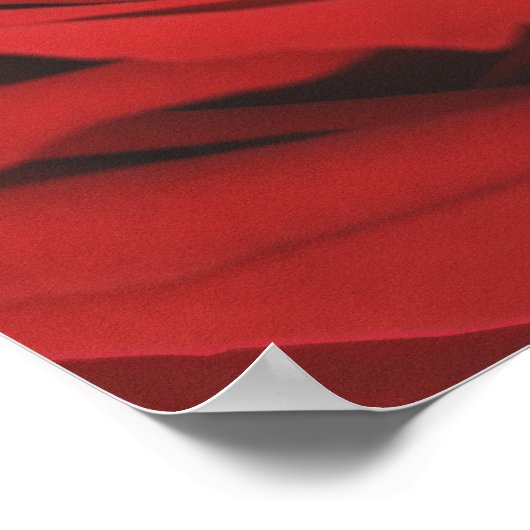 咲く赤いバラ ポスター (角)