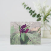 咲く野花 ポストカード (スタンド正面)