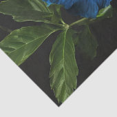 咲く青いハイビスカス花 薄葉紙 (詳細)