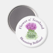 咲く鮮やかなスコットランドのアザミ マグネット (正面/裏面)