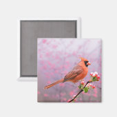 咲く（鳥）ショウジョウコウカンチョウ マグネット (正面/裏面)